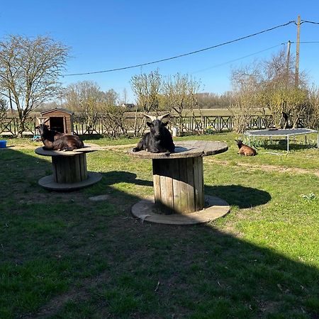 La Ferme Du Paradis Merris Kültér fotó